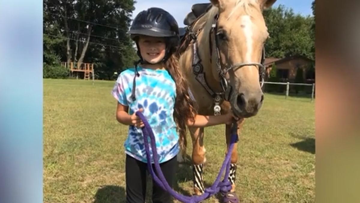 noi documente care ar putea elicida misterul disparitiei madalonei cojocari in sua