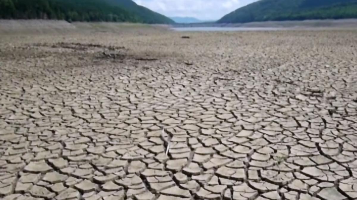 lac secat bacau val canicula