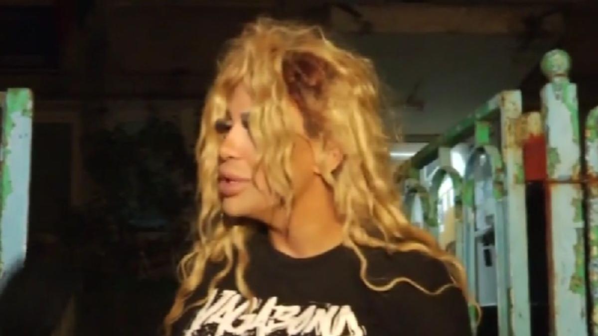 n am avut probleme cu legea nepoata nicolae guta dosar penal