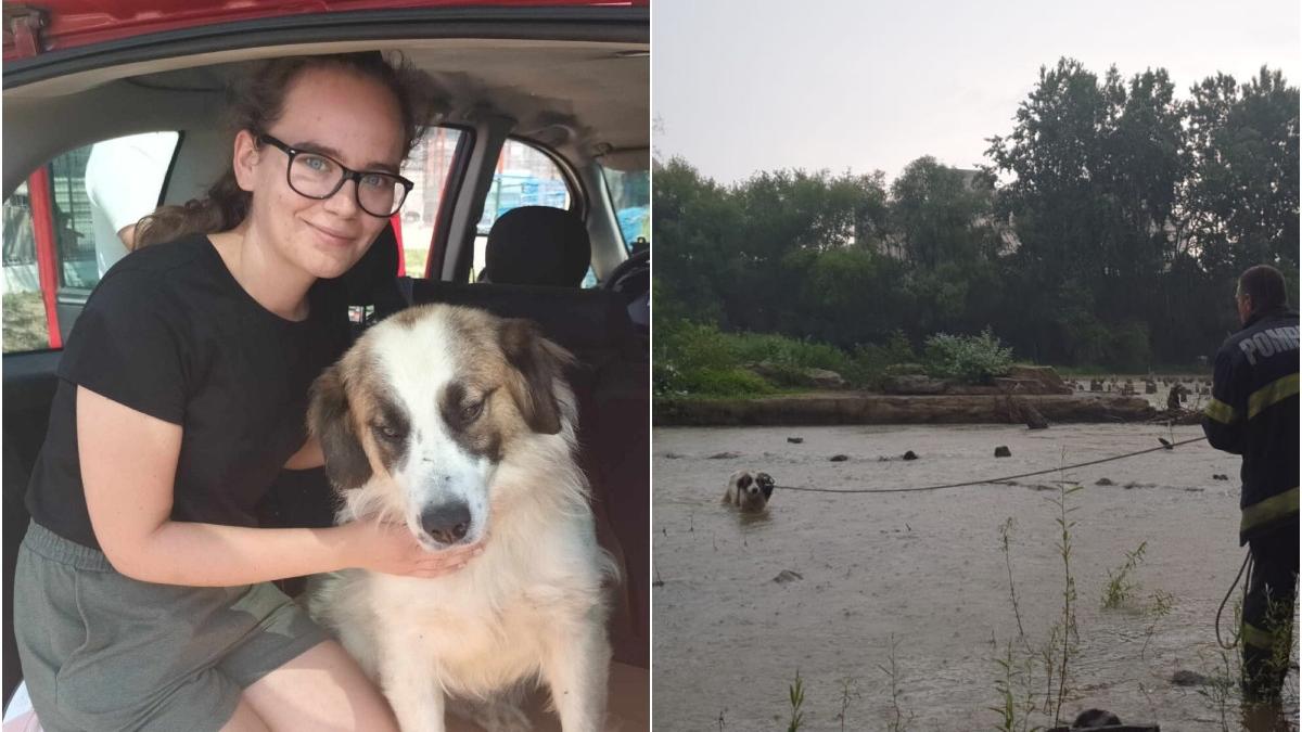 tasha catelusa salvata pompieri somes