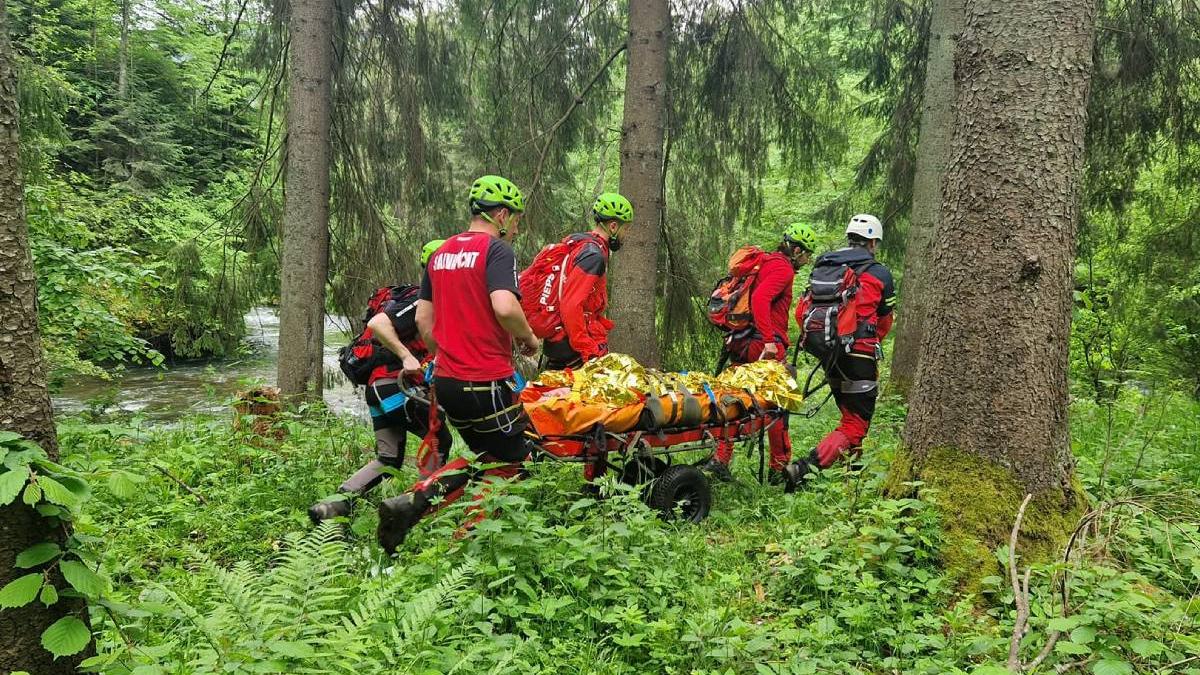 turist muscat de vipera in muntii calimani interventie de urgenta a salvamontistilor