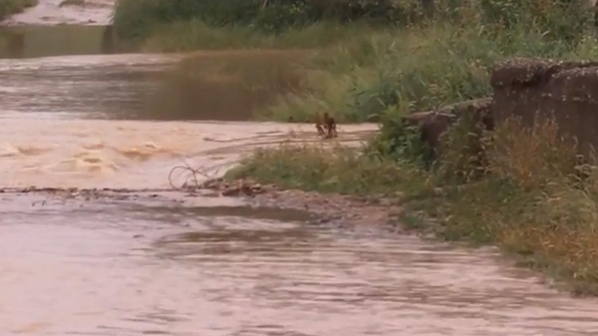 cod galben inundatii pericol romania