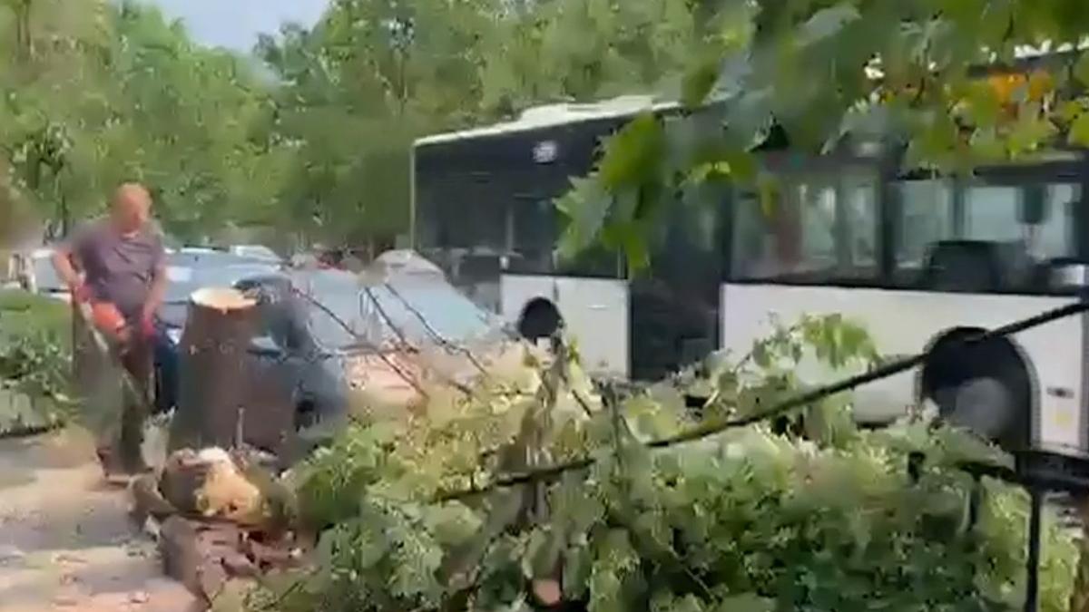 noi alerte fenomene extreme imediate zone afectate cod rosu