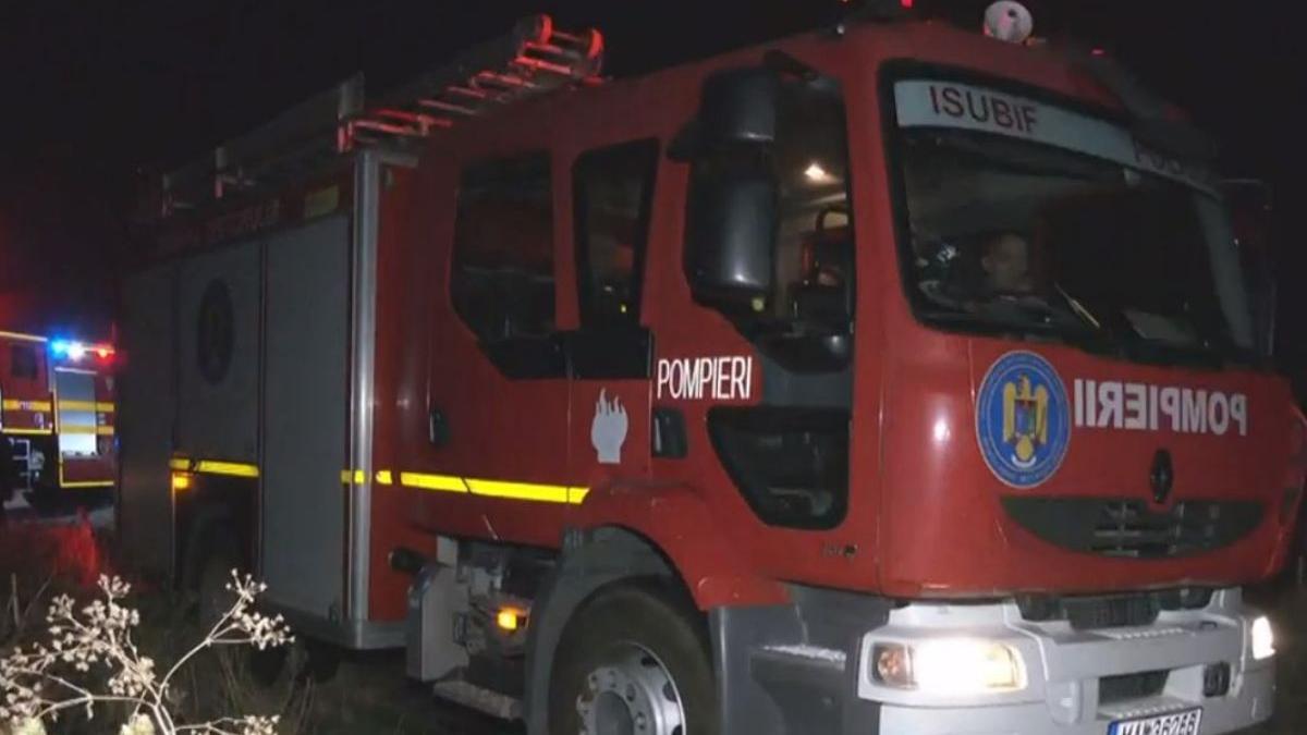 patru suflete casa parasita bucuresti salvate flacari