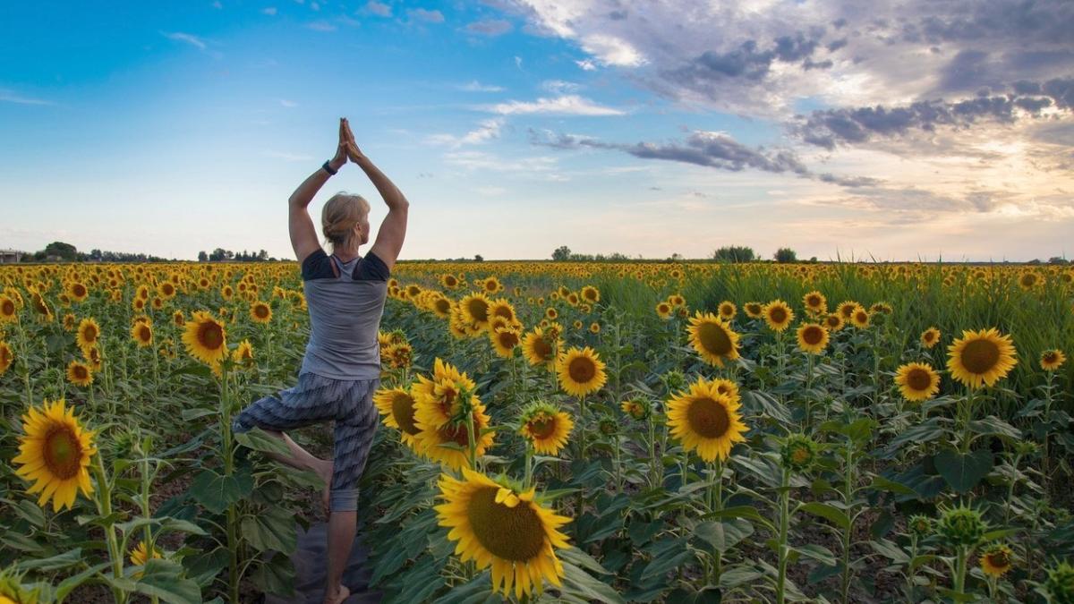 8 obiceiuri sanatoase pot prelungi viata 24 ani descoperite medici