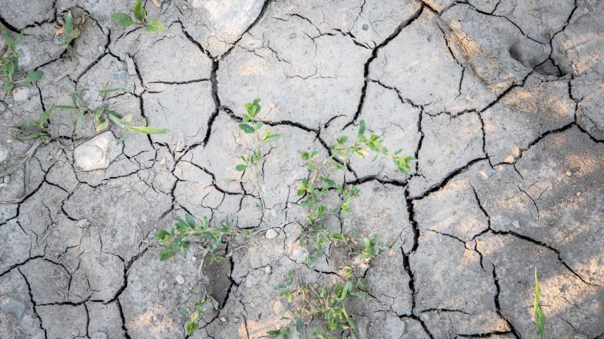 cea mai calduroasa dimineata 26 iulie ultimii 60 ani romania 2023