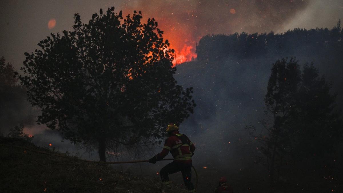 incendiu urias parcul natural sintra cascais portugalia 600 pompieri intervin