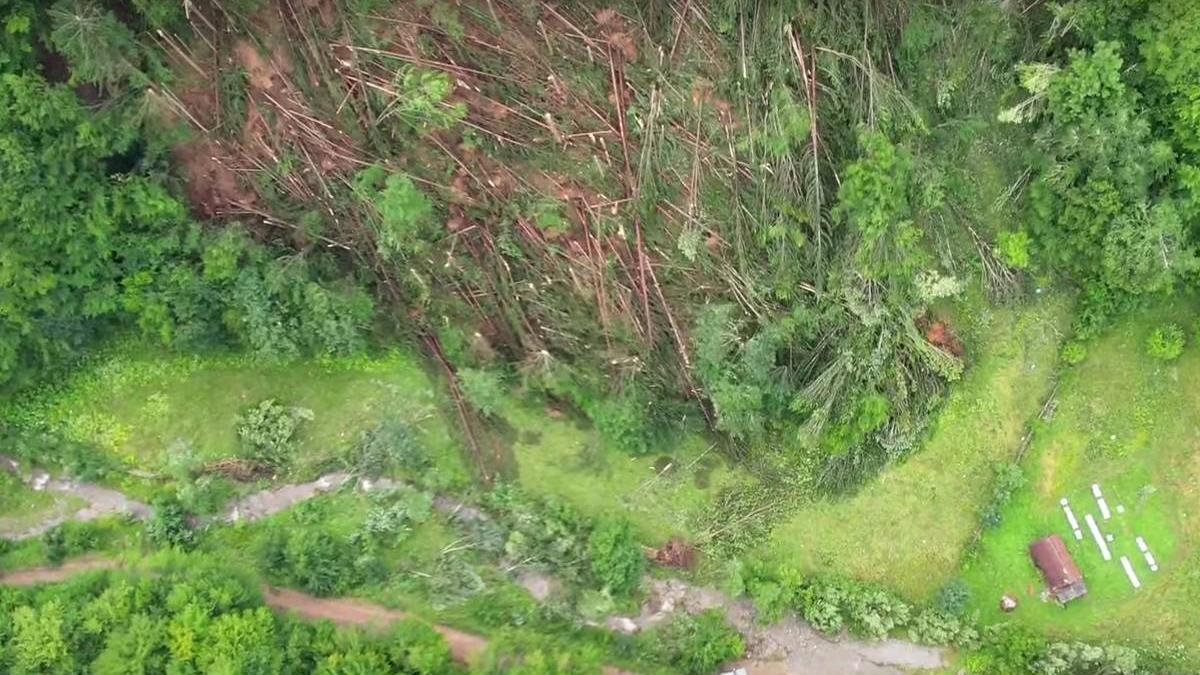 tornada distrus padure muntii apuseni