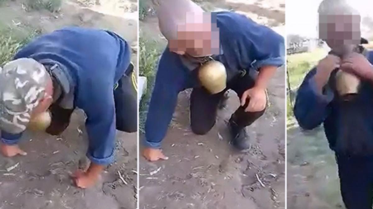 cioban zapodeni umilit consilier local talanga