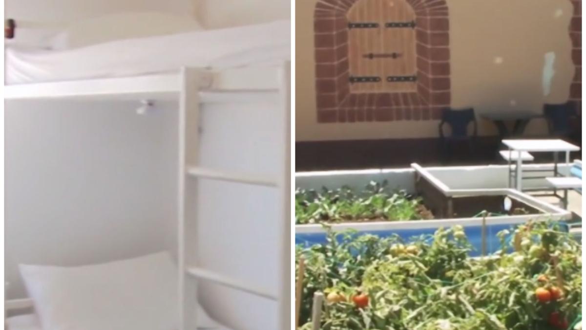 penitenciarul jilava conditii remus truica