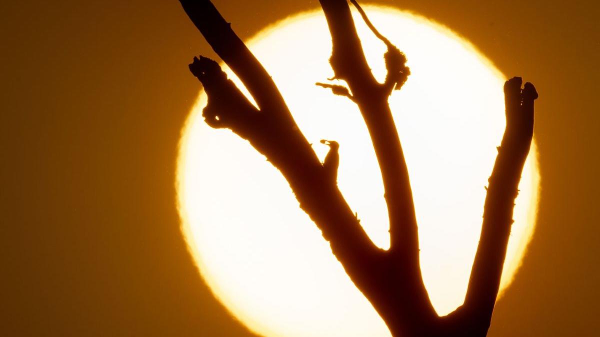 prognoza meteo august vremea