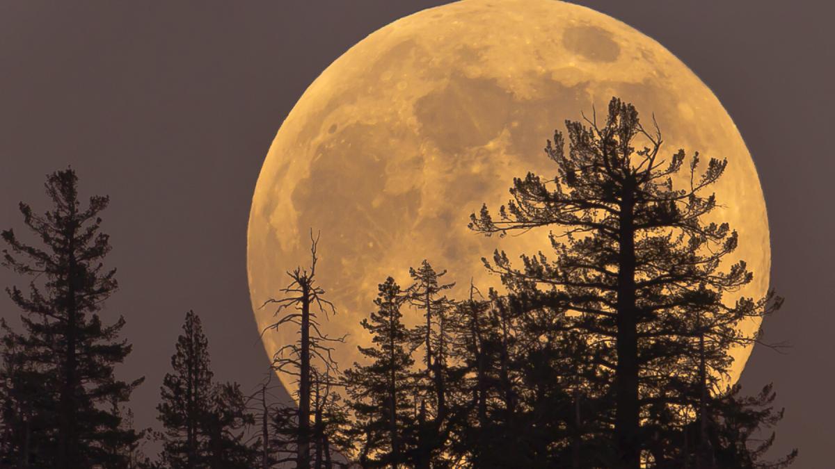 evenimente astronomice rare august superluna sturion luna albastra