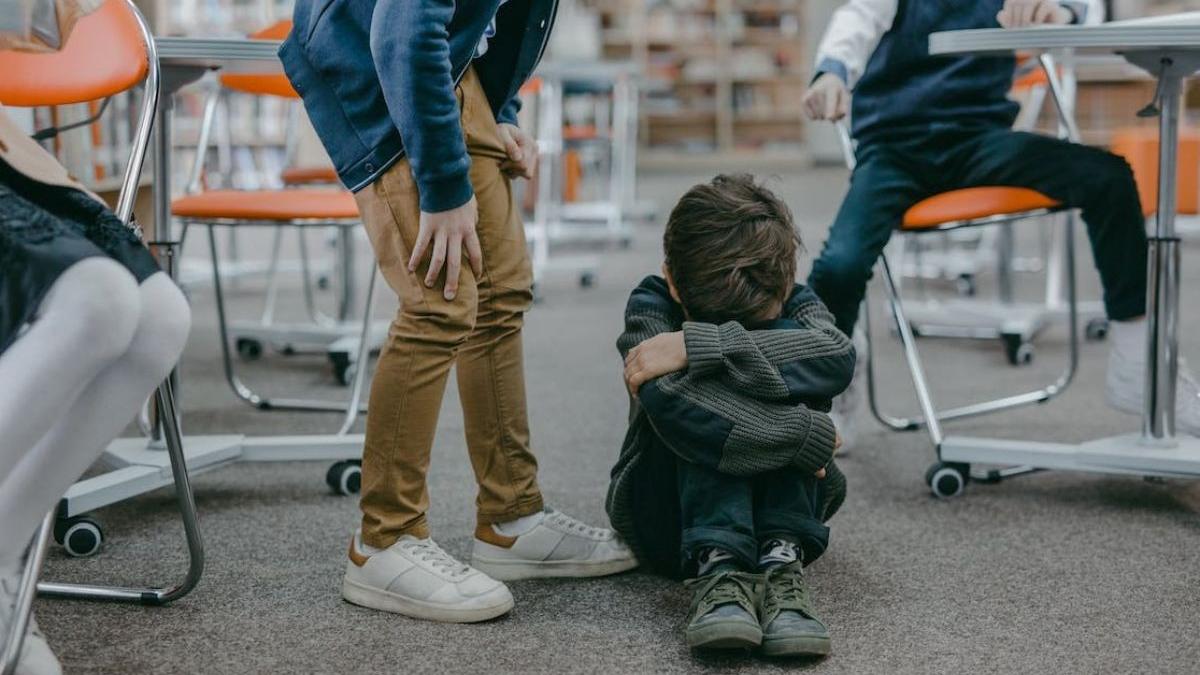 proiect impotriva violentei in scoli ministerul educatiei