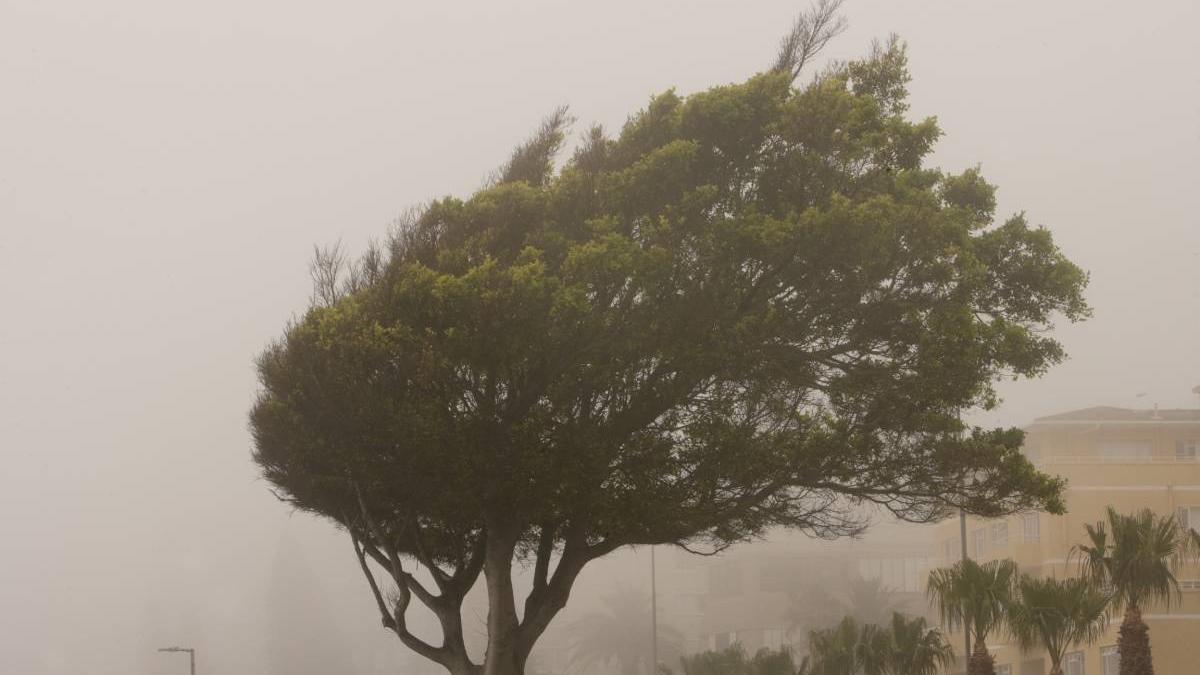 atentionare mae romani calatorie franta furtuni intensificari vant