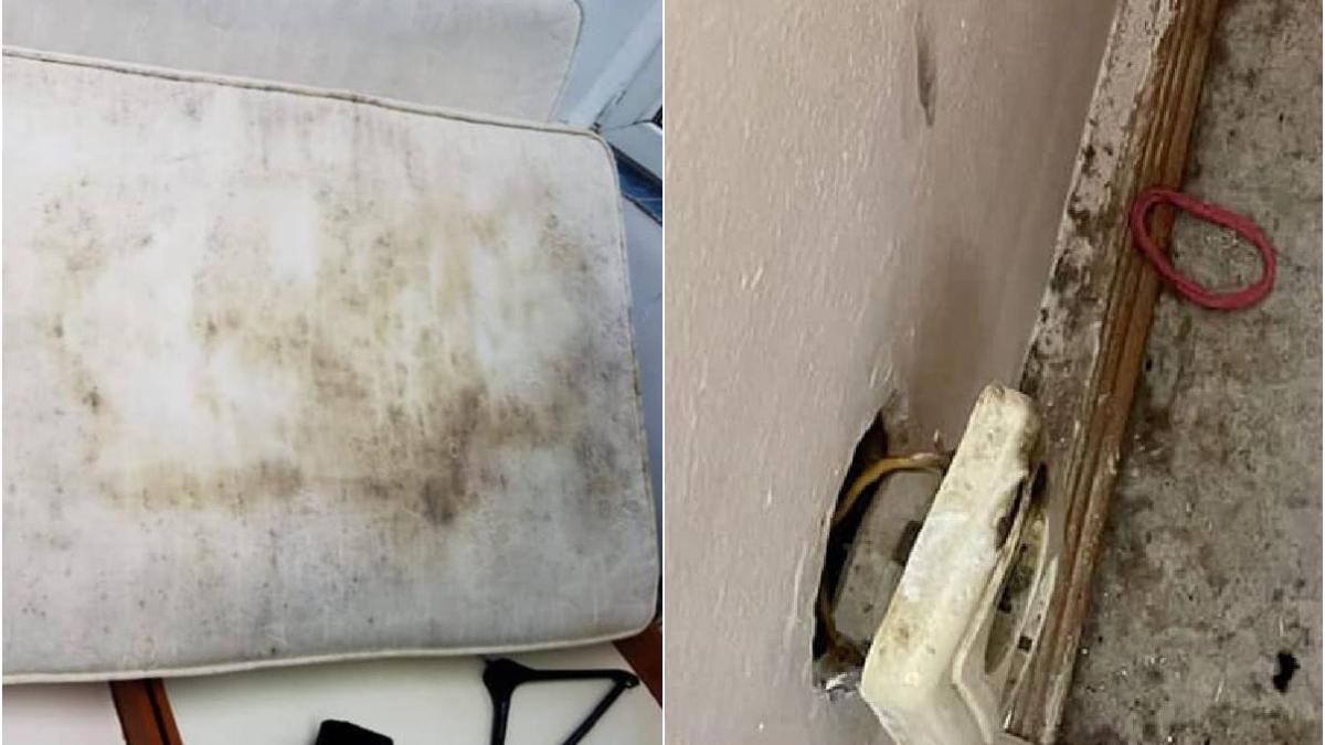 caminele grozei universitatea bucuresti