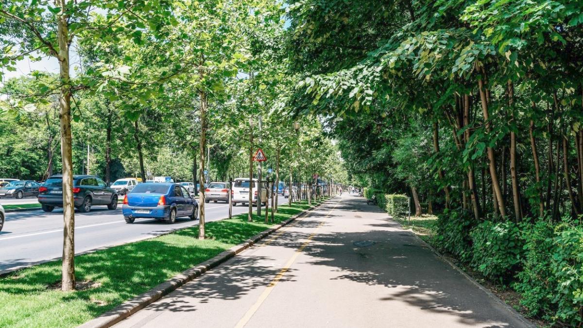 canicula disconfort termic bucuresti prognoza meteo anm capitala