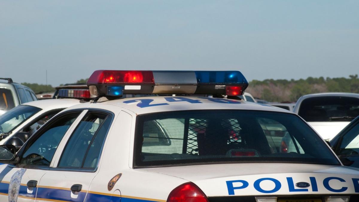 congres sua barbat inarmat