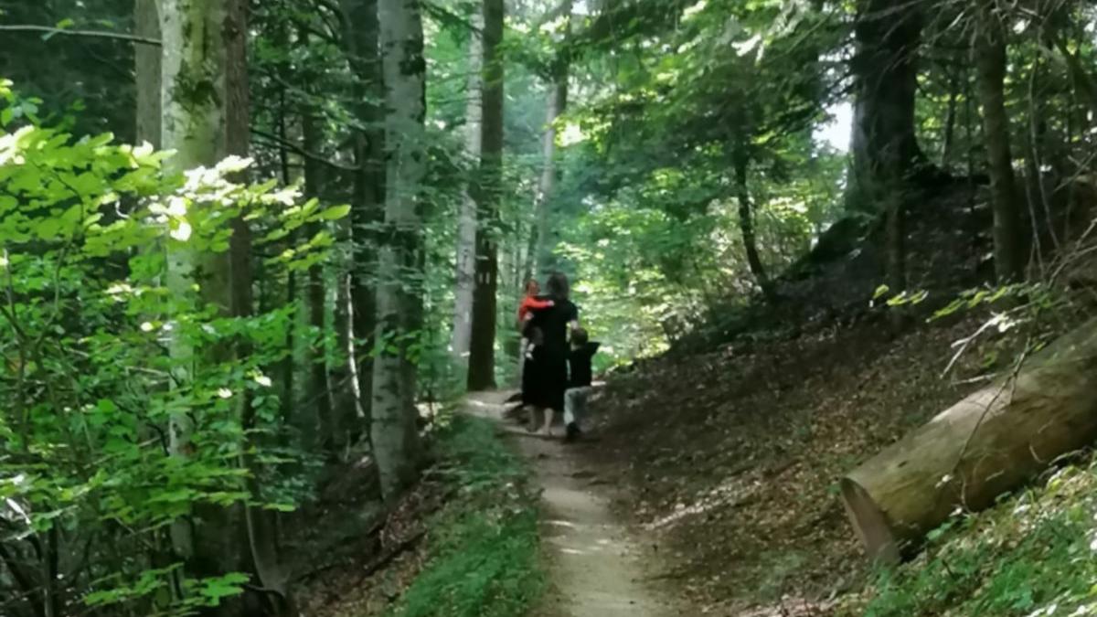 copii carucior munte masivul postavaru