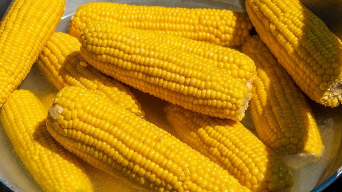 porumb fiert medic carmen dorobat