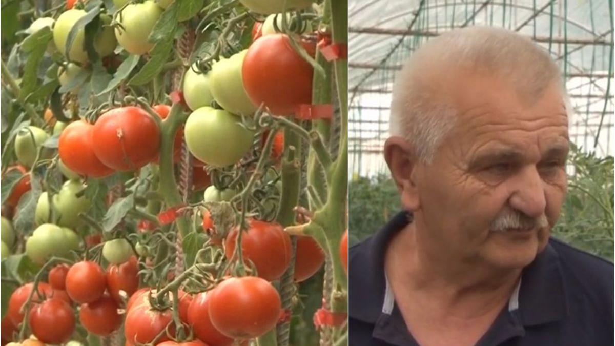 fermier roman vinde legume bio 60 la suta mai ieftin decat magazine