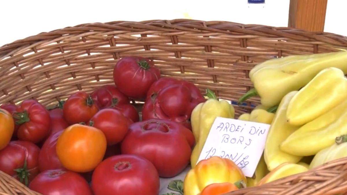 piete volante singura sansa producatori romani intermediari