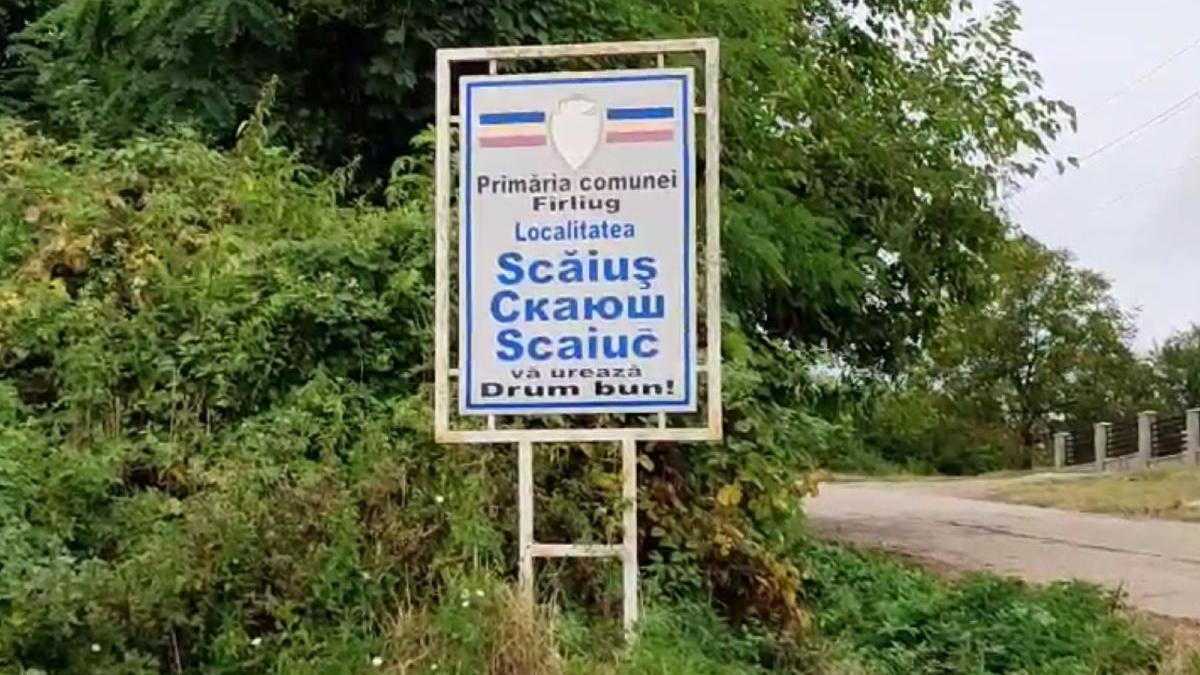 tanara mama scaius caras severin ucis bebelus retinuta politisti