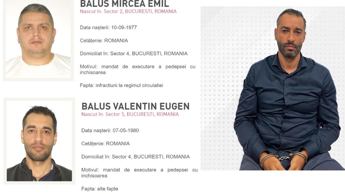 vali mircea nebunu petreceri smecheri coasta amalfi