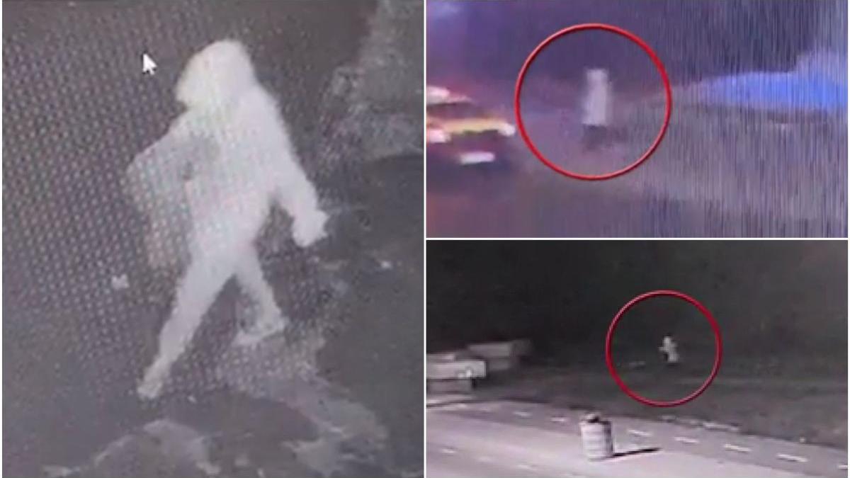 imagini loredana alina crima mangalia