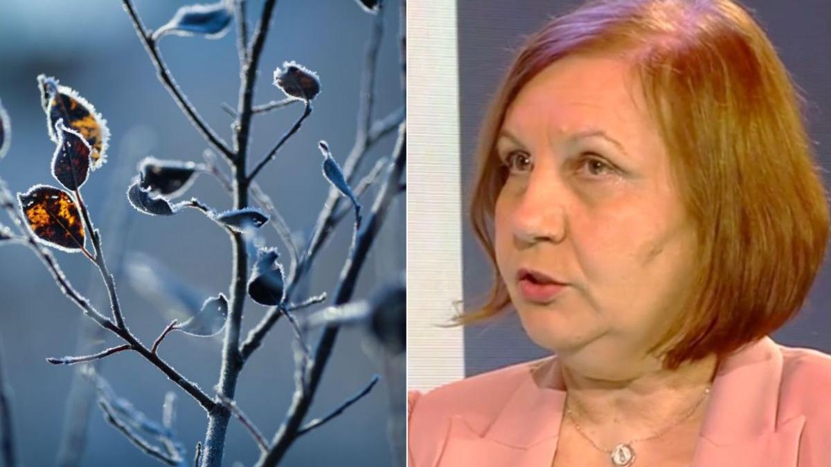 temperaturi neobisnuite elena mateescu director anm masa aer rece schimbari vreme