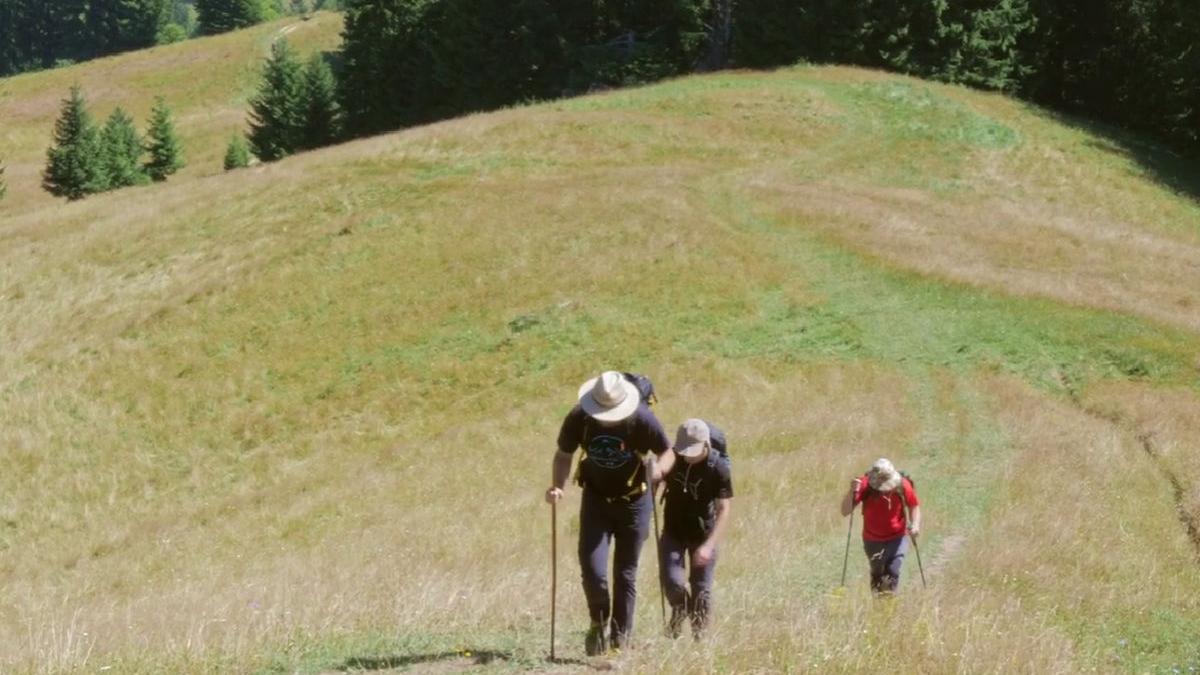 tineri probleme vedere via transilvanica