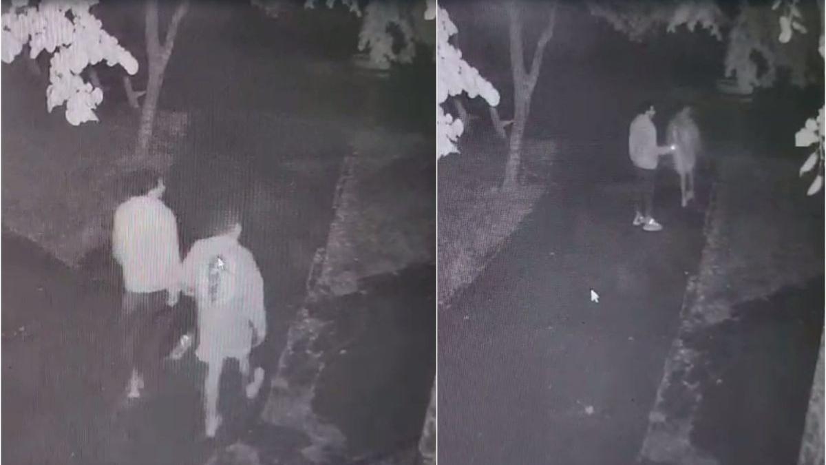 doi tineri filmati parc mangalia criminala aruncat cadavru alina sub banca