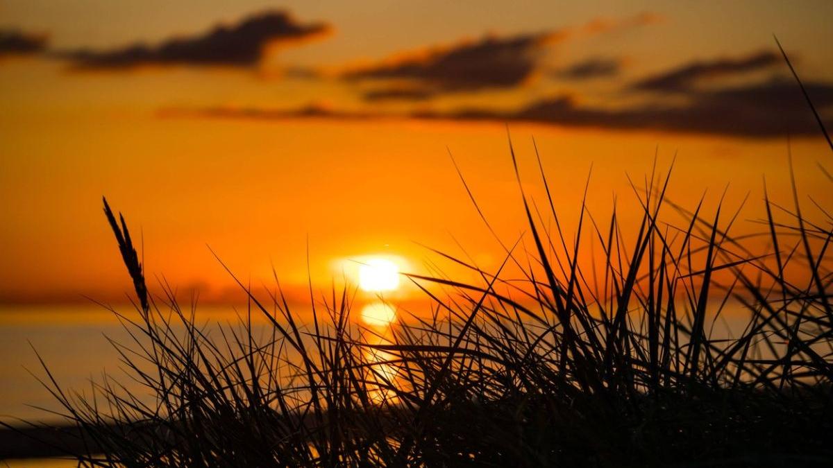 prognoza meteo 14 august 11 septembrie 2023 vremea