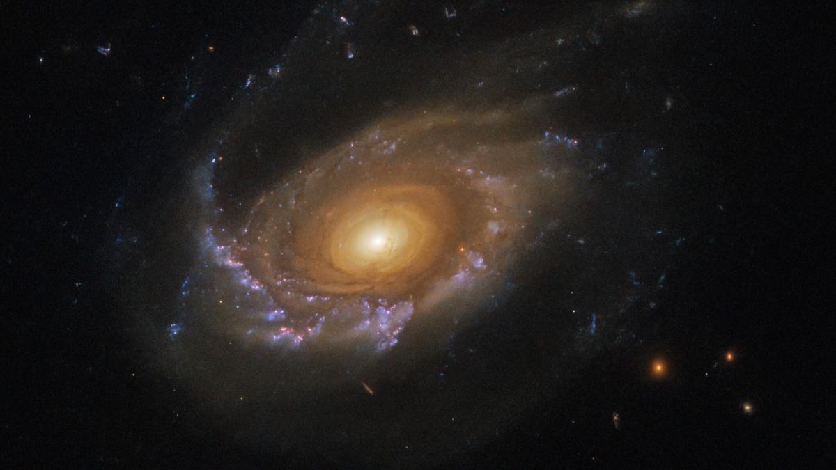 oamenii de stiinta pe cale sa descopere a cincea forta a naturii