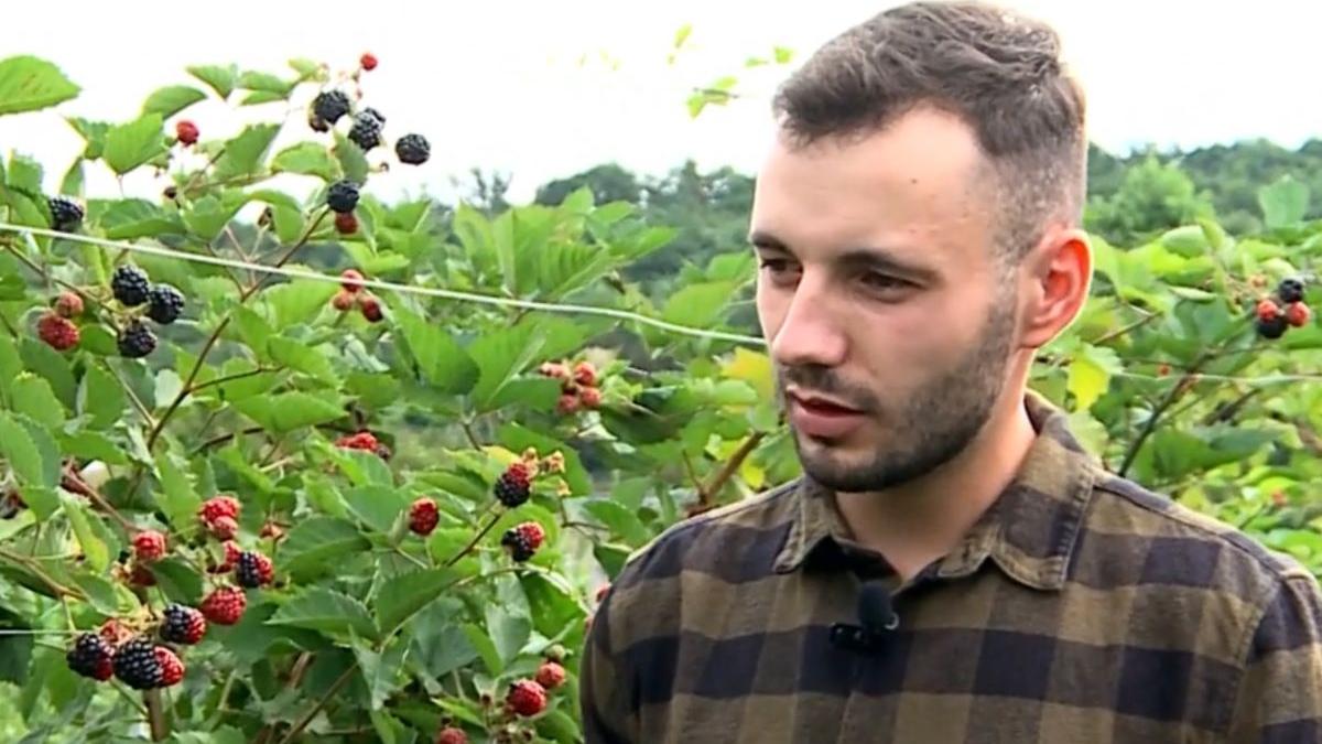 afacere succes familie romani kilogram 25 de lei