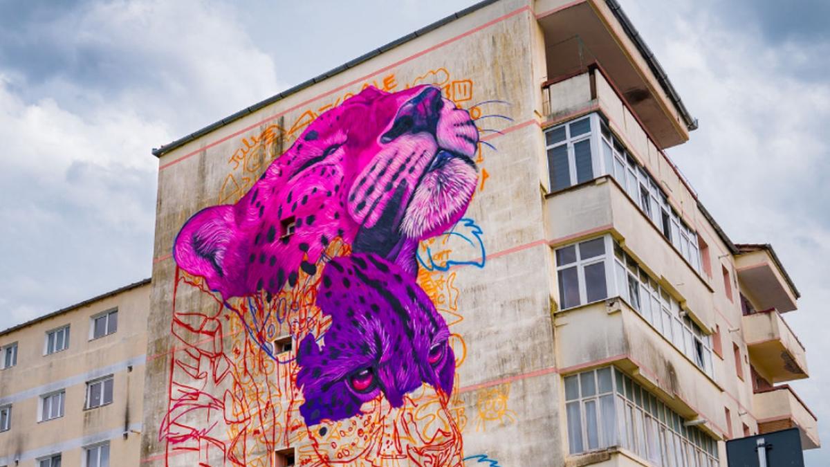 sibiu urletul furtunii bloc opera fatada