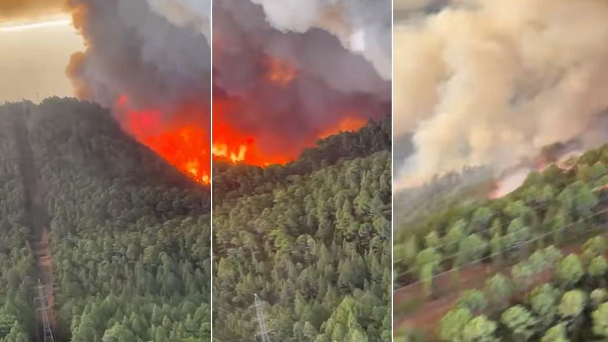 tenerife in flacari imens incendiu vegetatie padurile insulei amenita localitatile