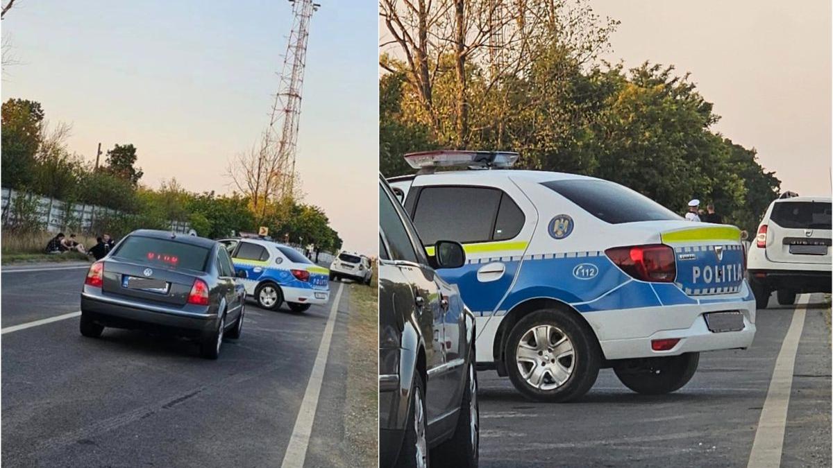 opt oameni izbiti plin sofer constanta morti raniti