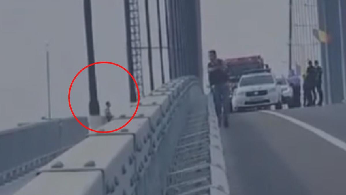 alerta la podul braila tanar apel 112 tentativa suicid pod suspendat dunare