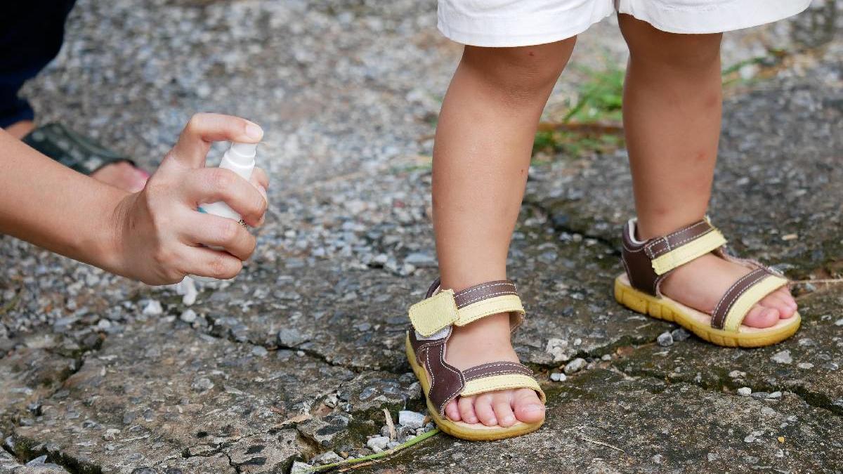 alerta sanitara tantari insecticide pericol pentru copii