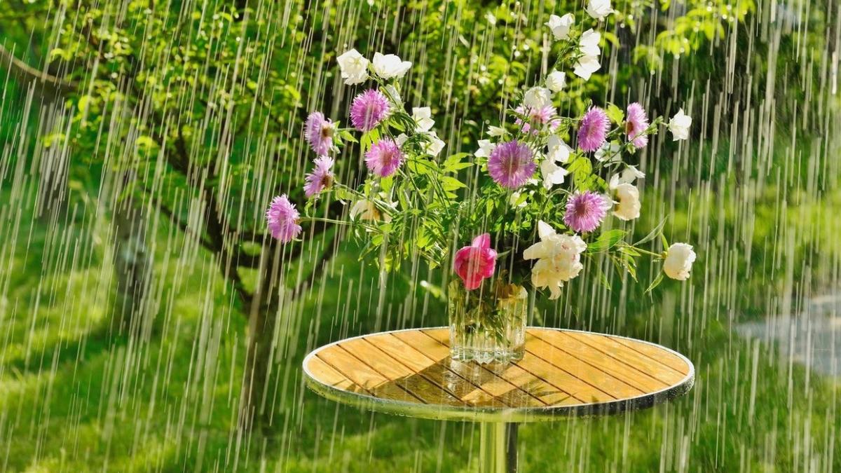 ploi vara capitala prognoza speciala bucuresti 24 25 august 2023