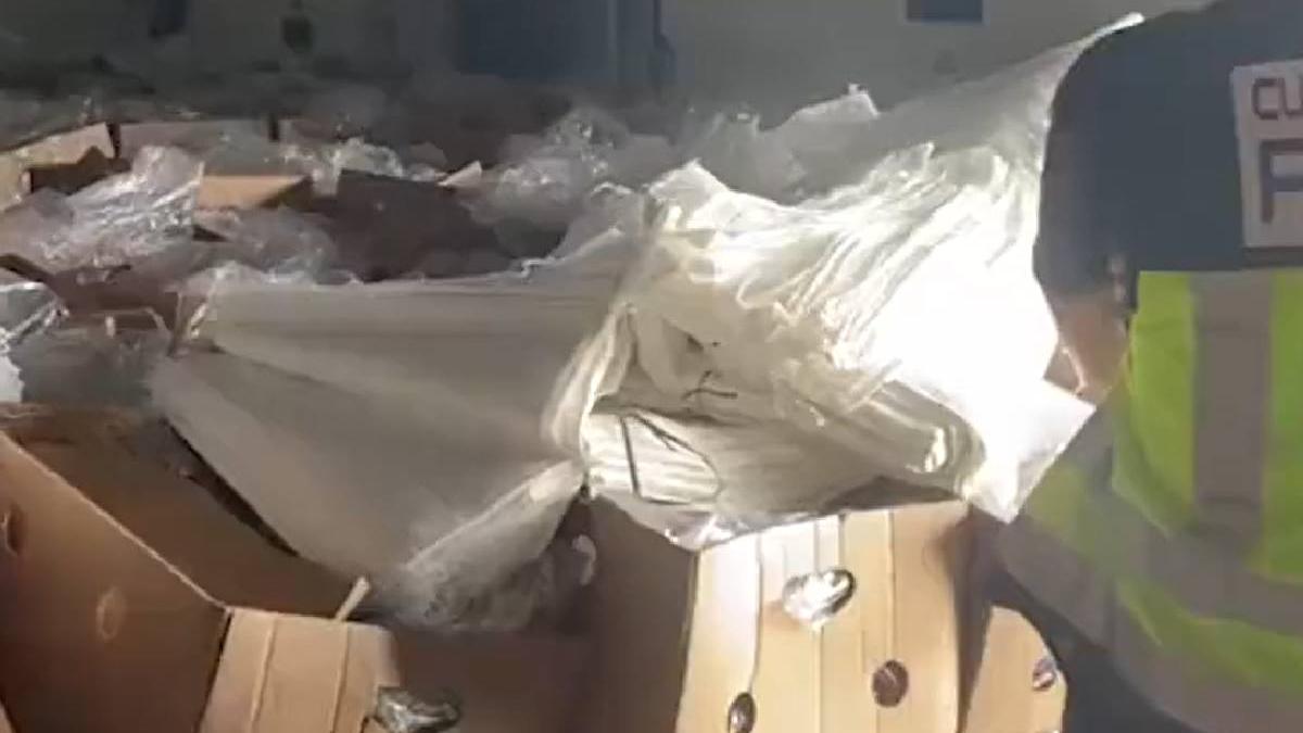 captura cocaina spania cantitati uriase droguri trimise europa cutii banane