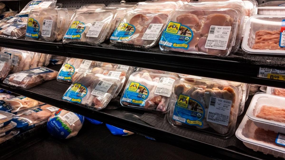 pui salmonela retras magazine indicatii ansvsa clienti care au cumparat