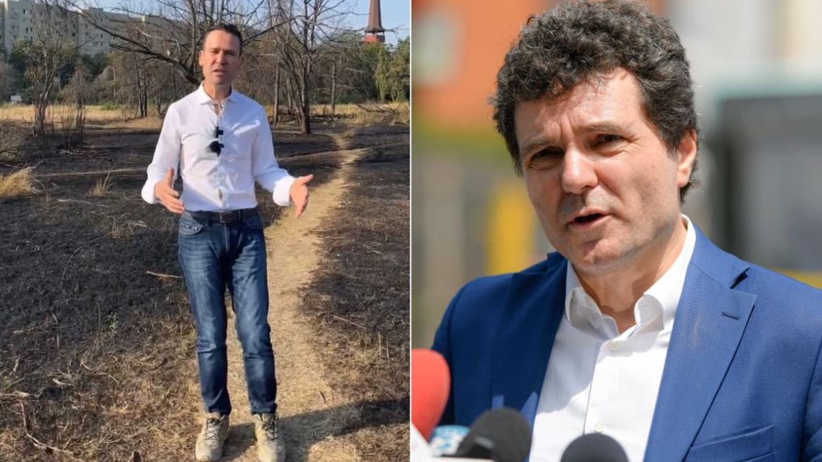 robert negoita cerut demisia nicusor dan incendiu parcul ior