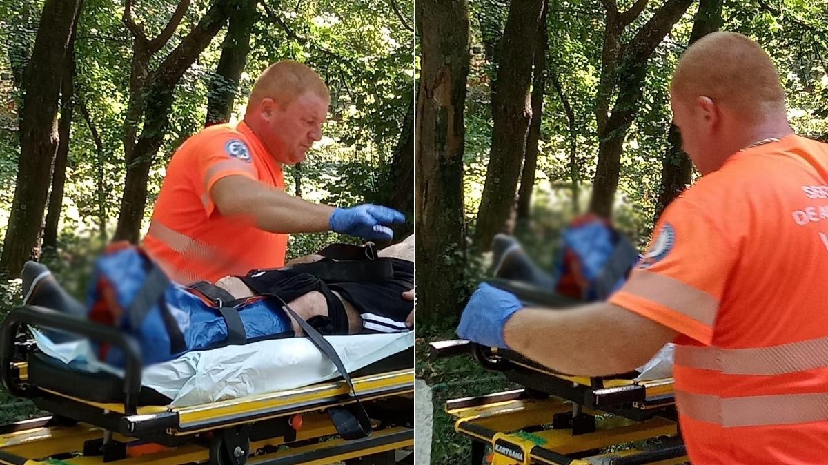 tigru barlad atac gradina zoologica