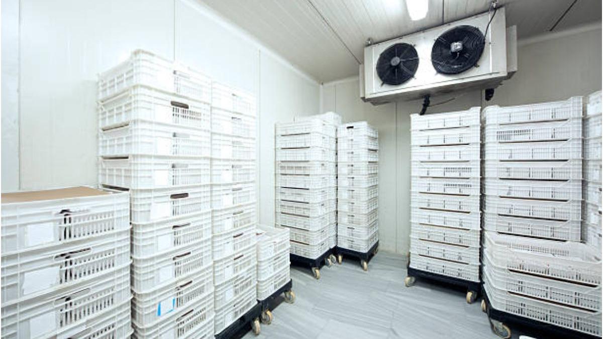 patiserie amendata angajata blocata congelator