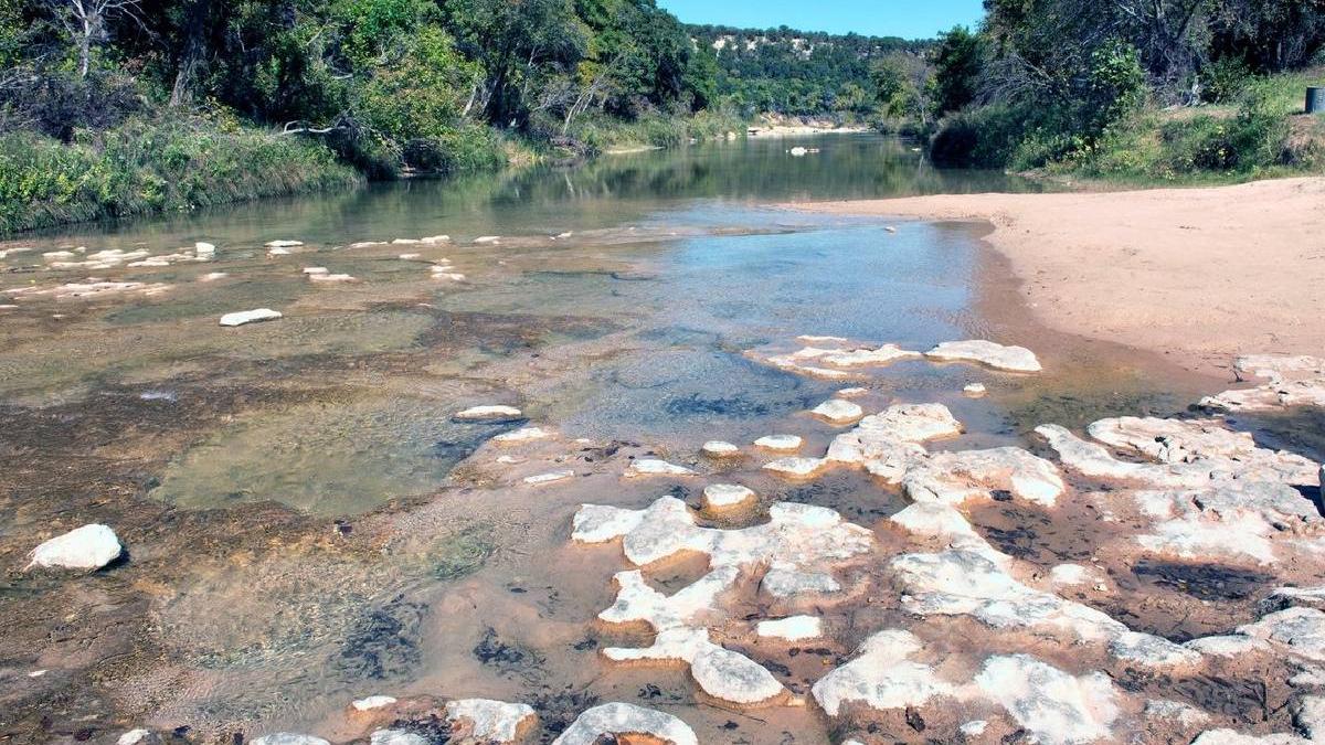 urme dinozauri vechi 113 milioane ani descoperite albie rau texas