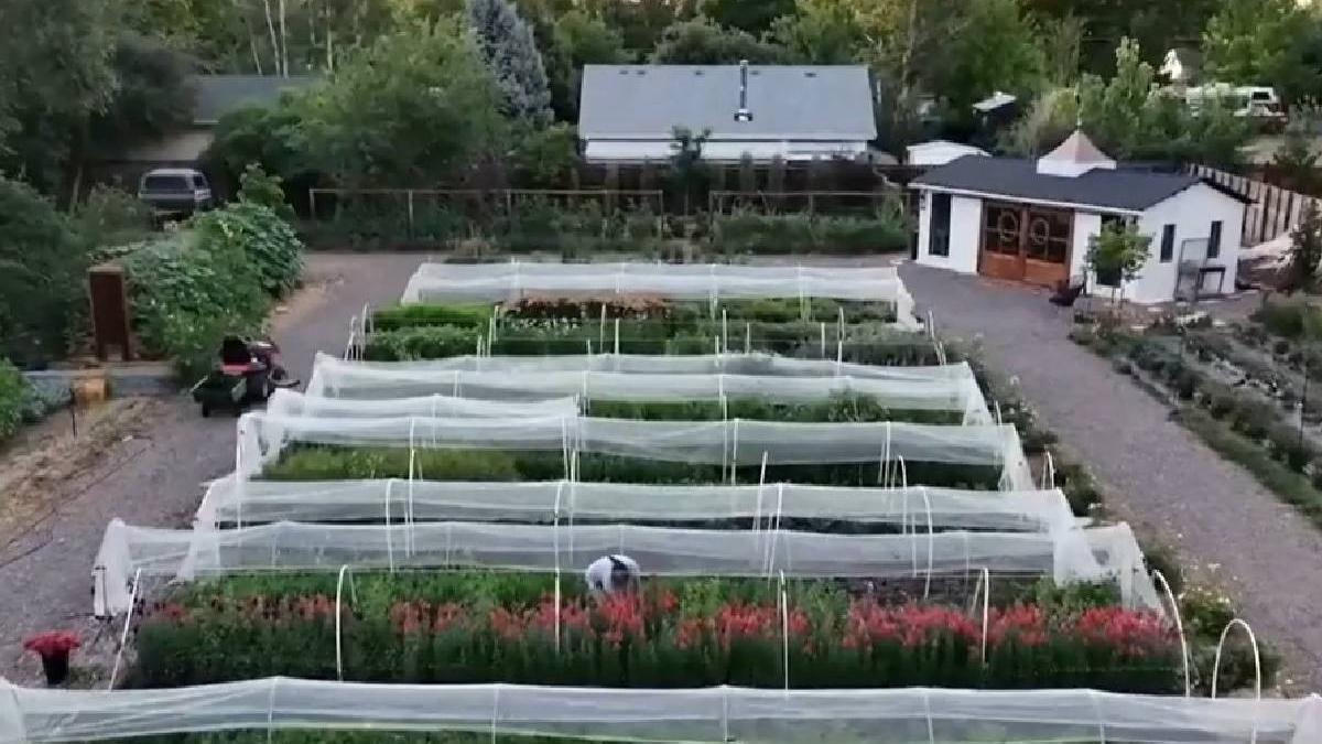 familie gorj nevoita vanda afacerea gaseste oameni angajare