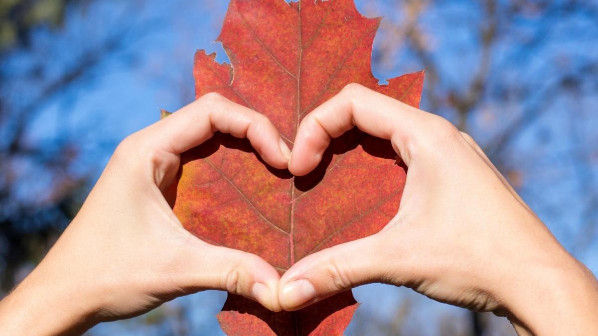 horoscop dragoste septembrie 2023