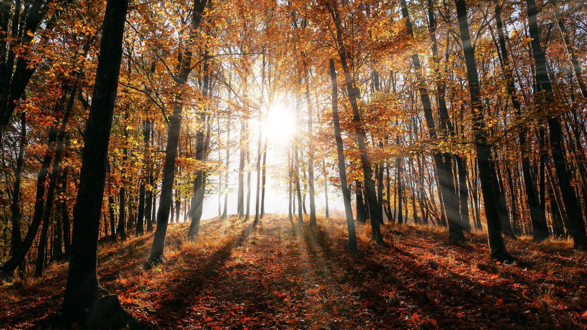 prognoza meteo septembrie 2023 vremea