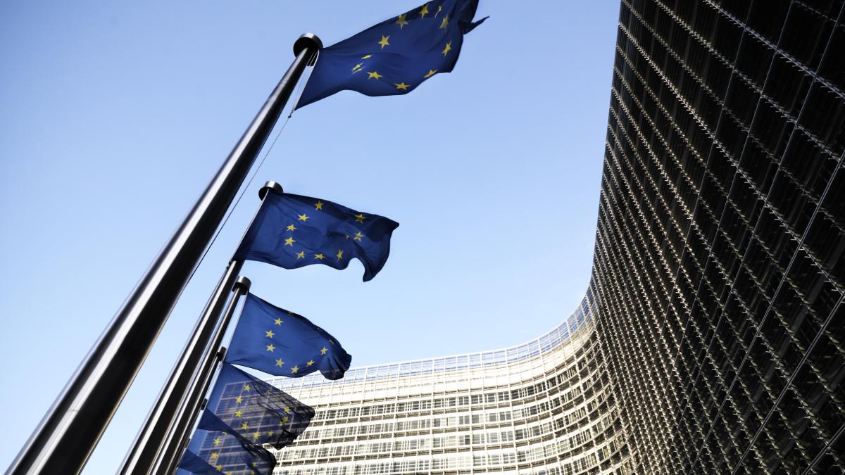 abuzuri stat roman prezentate bruxelles